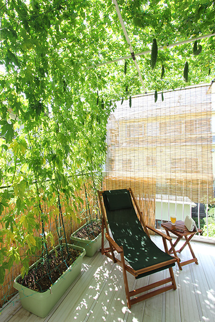 グリーンルームのなかにデッキチェアとサイドテーブル