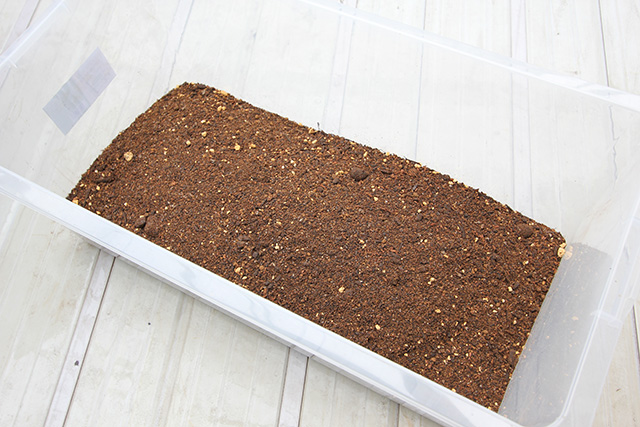 長方形の容器の底に、培養土が敷きつめられている