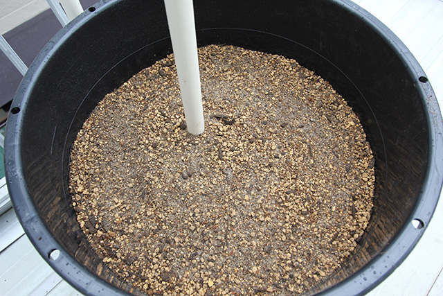 ポットに上層部の用土が入れられ8割ほど土で満たされている